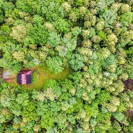 Lost Pond Cabin 斯克伦湖 外观 照片